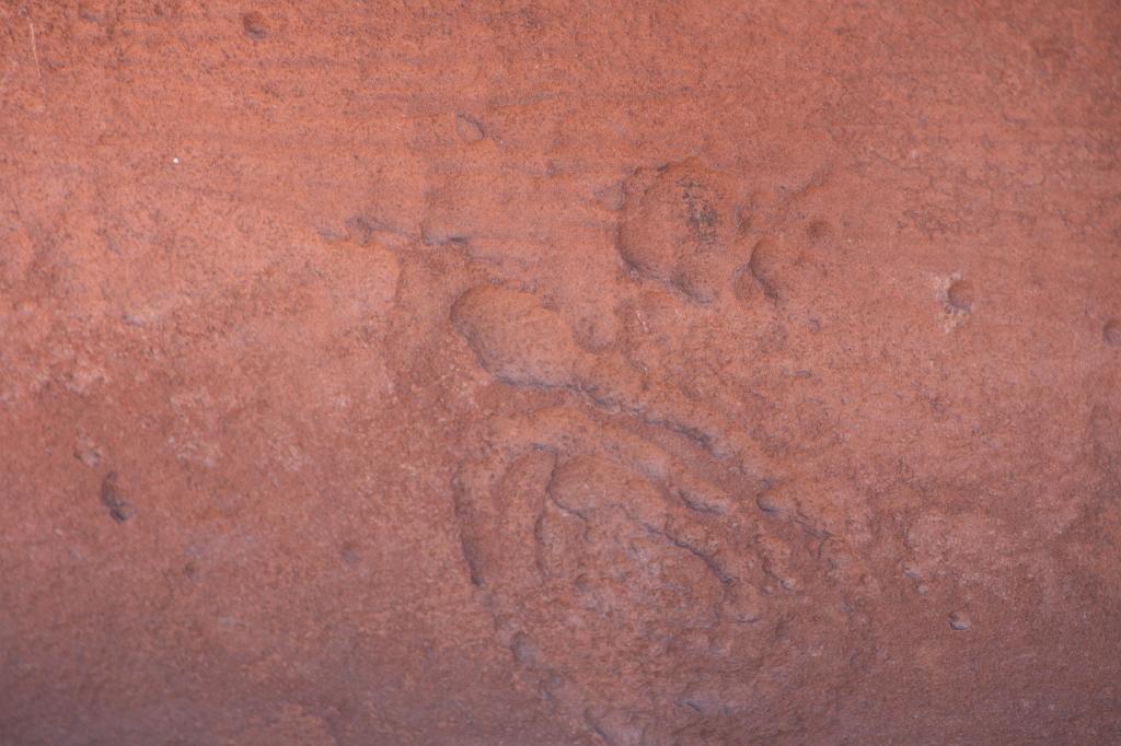 20081025 Grand Canyon 087.jpg - Wupatki - Snake?